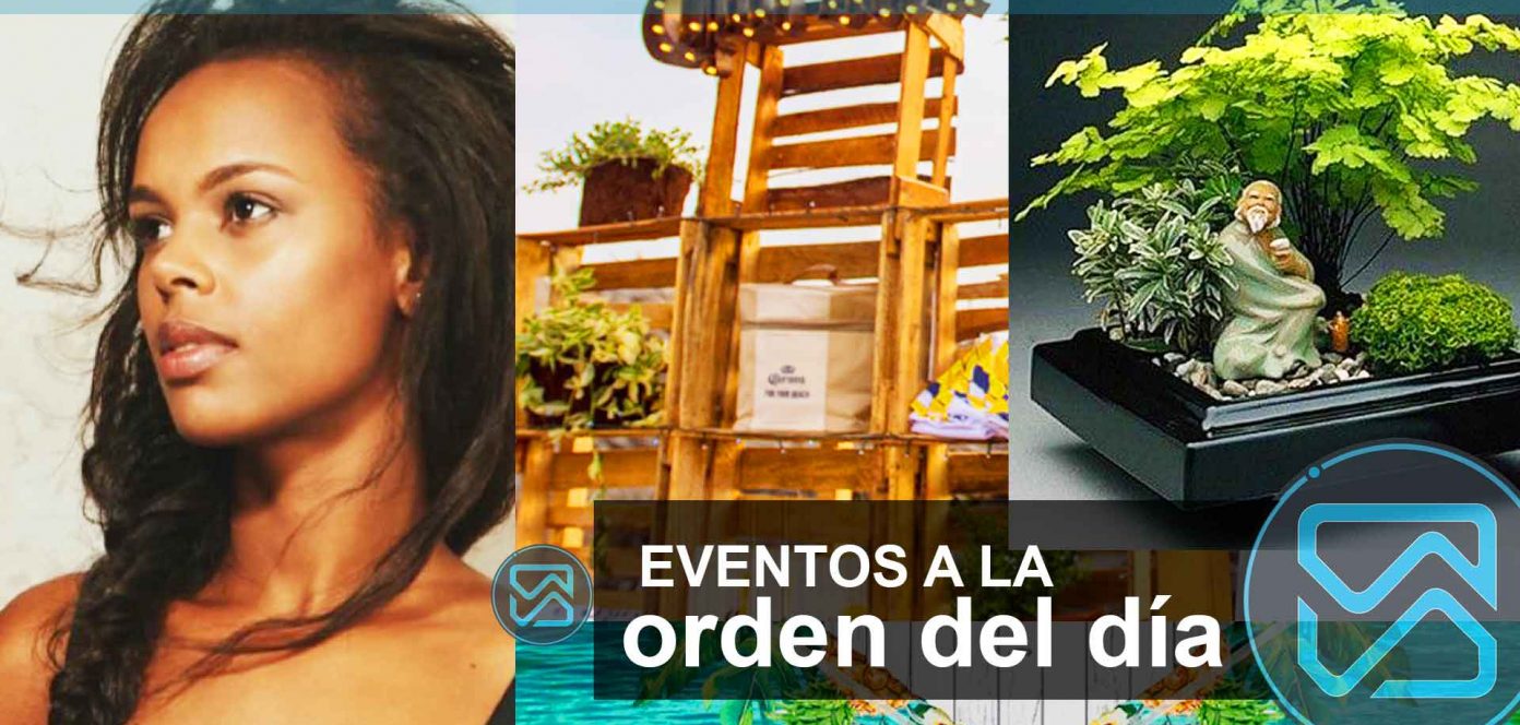 Un verano en Medellín