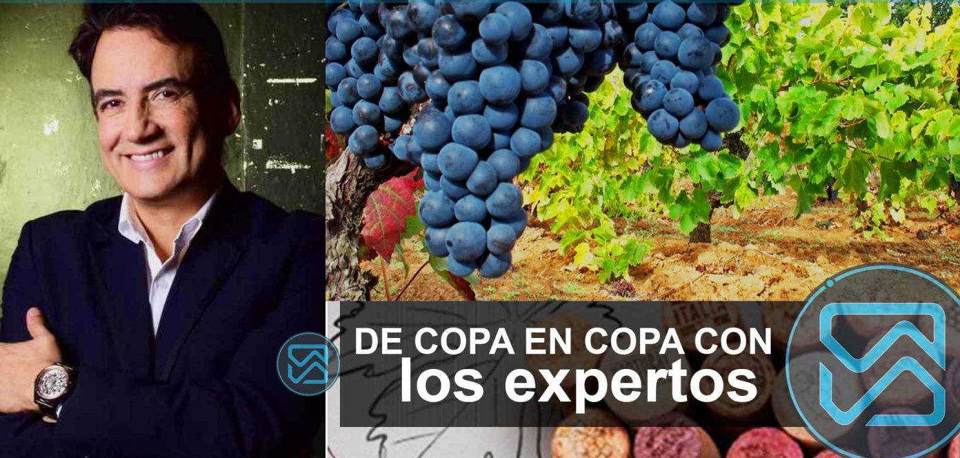 Apasionados por el vino